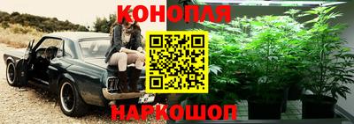 бошки Малгобек