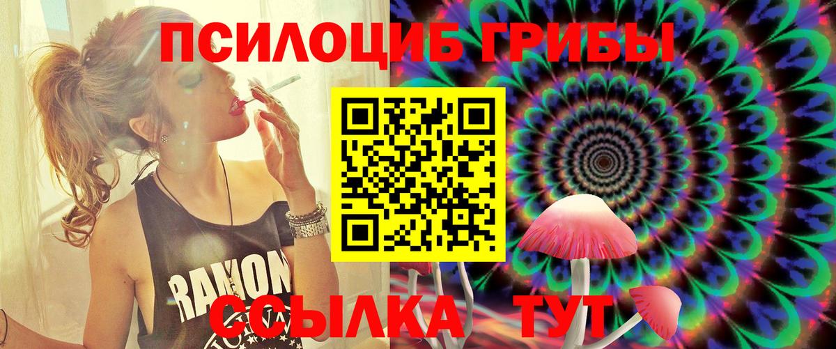 Галлюциногенные грибы Psilocybe  Вход с VPN  Псилоцибиновые грибы MAGIC MUSHROOMS  Зеленодольск 